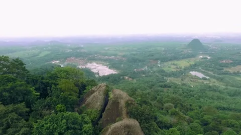 ARIAL VIEW OF FOREST IN MUNARA MOUNTAIN, EAST JAVA, INDONESIA Stock Footage 134896321