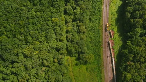 Arial view. Freight train accident, transport derailment, damaged of train Stock Footage 161195264