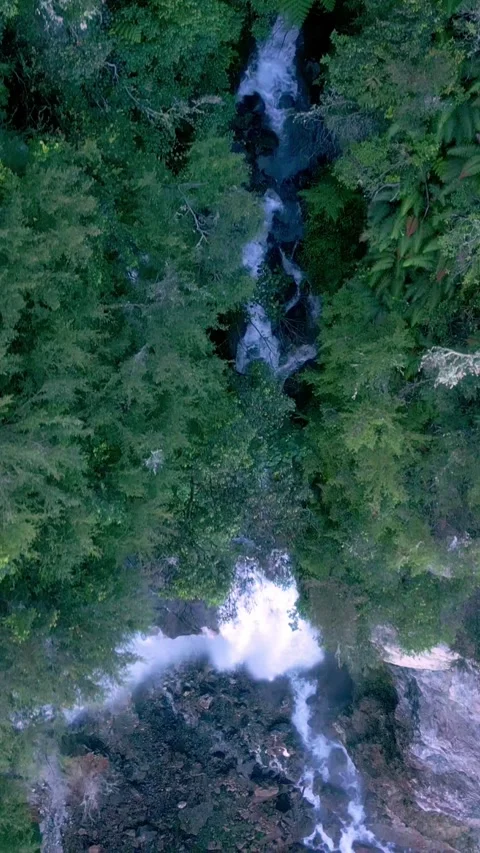 Arial View Green Nature of Forest Waterfall and Wet Mountain in River Stock Footage 309603787