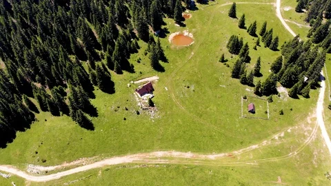 Arial view of the mountain Vranica and big pine forest with weekend house Stock Footage 129288816