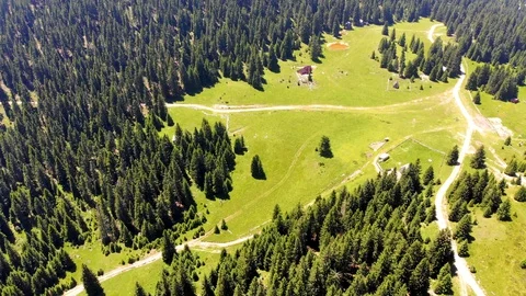 Arial view of the mountain Vranica and big pine forest with weekend house Stock Footage 129787813