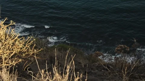 Arial view of the ocean shore shot from above Stock Footage 309172408
