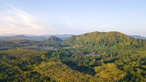 Arial view of oil palm plantation in Chumphon province, Thailand. Select focu Stock Photos