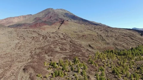 Arial View Pine Trees Mountain Road Mount Teide Tenerife Spain Stock Footage 104407639