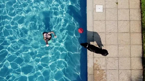 Arial view of pool and dog running round the pool Stock Footage 170893524
