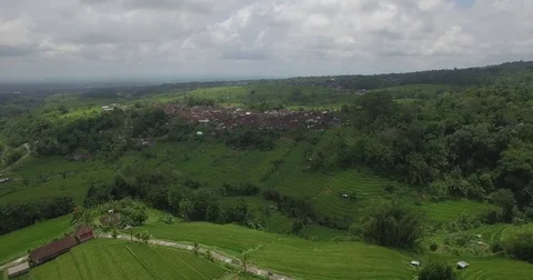Arial view of Rices Terraces. Bali. 스톡 동영상 72120427