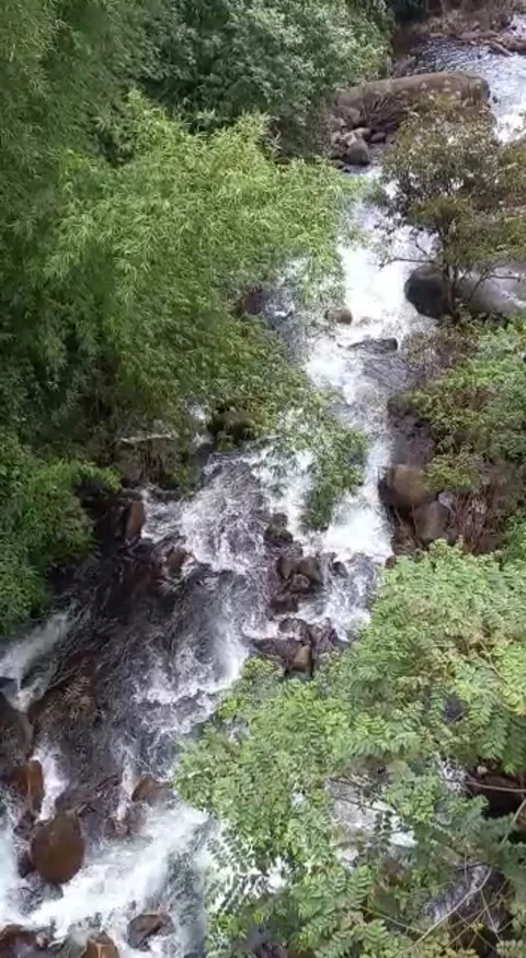 Arial view of river in jungle Stock Footage 158045715