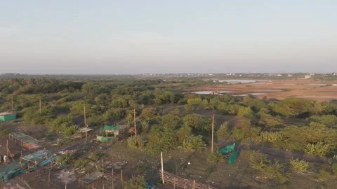 Arial view of sea cost at evening time. Stock Footage 258470022