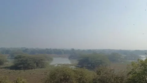 Arial view of a Sultanpur bird sanctuary in a foggy day during winters 스톡 동영상 332266103
