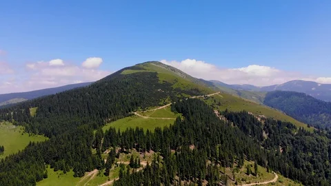 Arial view of the top of the mountain Vranica and big pine forest Stock Footage 129603804