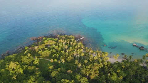 Arial viewe exotic white sandy beach turquoise sea water coconut palm tree Video stock 293930391