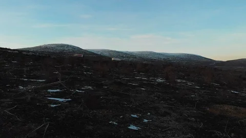 Arialdrone Video stock 99748550