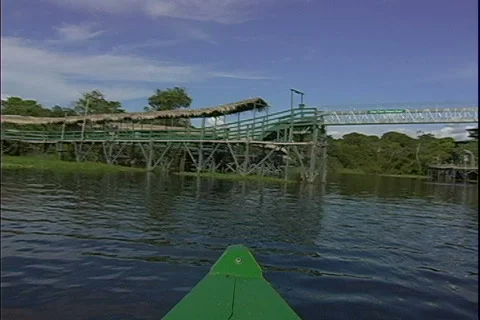 Ariau Walkway Bridge-pov Stock Footage