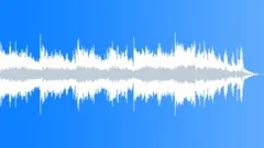Ariazaan (WP) 08 Alt1 30 2a( jazzy,smooth,tribal drums,elegant,travel,cool,calm) Stock Music