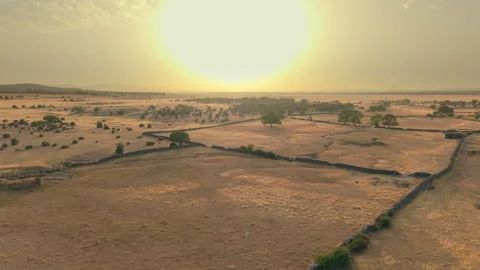 Arid dehesa landscape at summer sunset in Salamanca, Spain Stock Footage 341886347