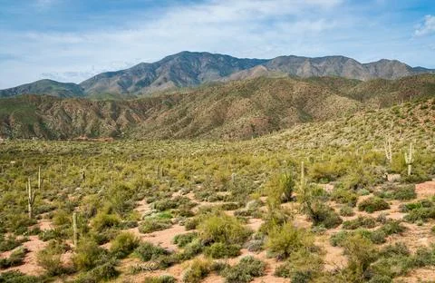 Arid Desert Landscape of the Apache Trail Stock Photos