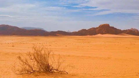 Arid Desert Landscape Stock Photos