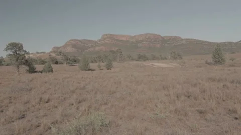 Arid deserts with animals crossing 스톡 동영상 146456830