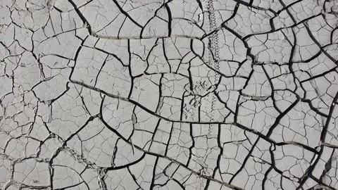 Arid earth pattern Stock Footage 130830071
