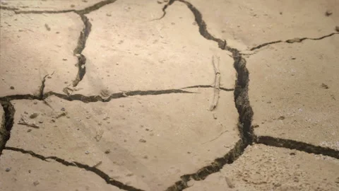 Arid Stock Footage 305821969