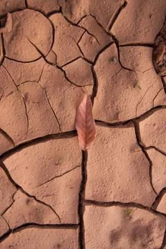 Arid ground Stock Photos