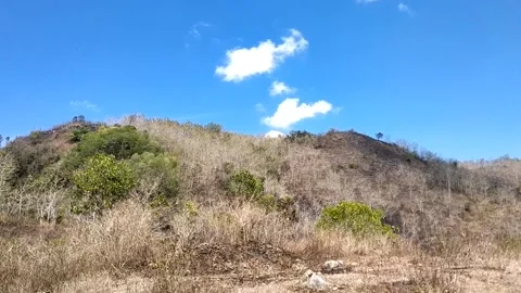Arid Hillside Landscape 動画素材 341797993