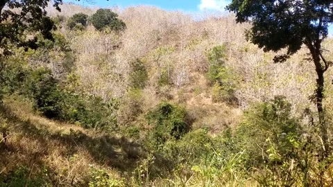 Arid Hillside Landscape Stock-Footage 341799160