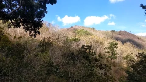 Arid Hillside Under a Clear Blue Sky Stock-Footage 341799331