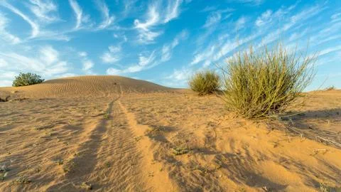 Arid Land 스톡 사진