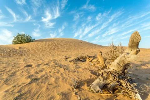 Arid Land Stock Photos