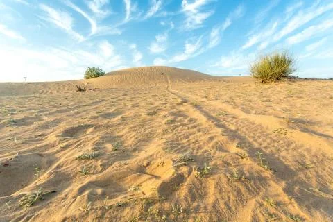 Arid Land Stockfoto's