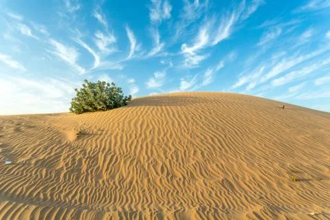 Arid Land 스톡 사진