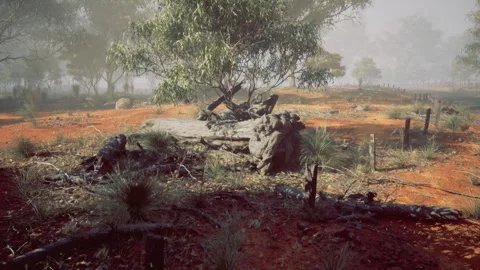 Arid land scene. Battered landscape featuring soil and resilient vegetation Stock Footage 339629010