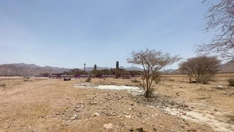 Arid Landscape with Bare Trees and Stone Mosque Stock Footage 338263877