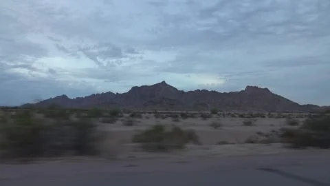 Arid landscape with junipers and grass in Arizona in slow motion 120fps Stock Footage 280068954