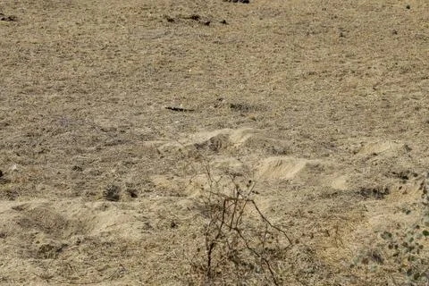 Arid landscape Stock-Fotos