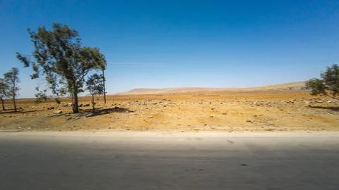Arid landscape with sparse vegetation and blue sky Stock Photos