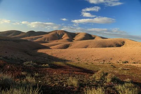 Arid landscape at the sunset Foto stock