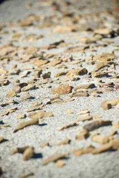 Arid landscape view Stock Photos