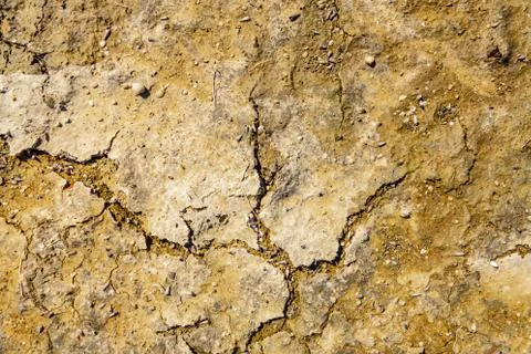 Arid lands.cracked earth. Texture of the crackled clay Stock Photos