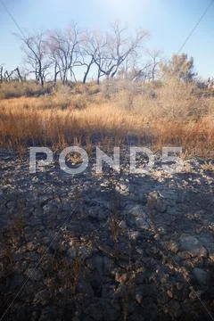 Arid location Stock Photos
