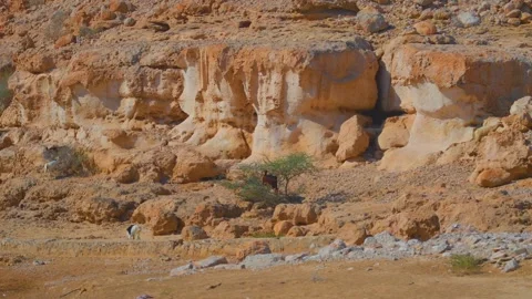 Arid Mountain Landscape in Oman Stock Footage 324767580