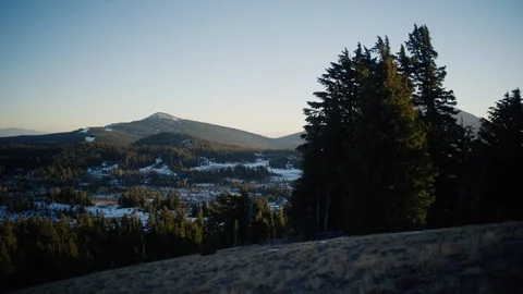 Arid Mountain Meadow - Central Oregon Stock Footage 99803457