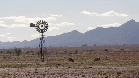 Arid Outback Farm with Windmill, Sheep and Flinders Ranges Mountains, Australia Stock Footage 320226551