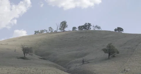 Arid Rolling Hills with Sparse Trees and White Clouds in Blue Sky Stock Footage 328295048