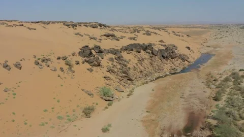 Arid Sandy Desert Landscape with Scattered Trees and Clouds Stock Footage 335636517