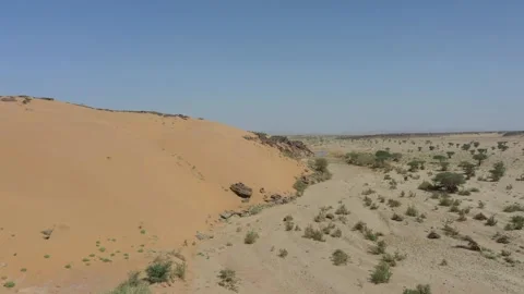 Arid Sandy Desert Landscape with Scattered Trees and Clouds Stock Footage 335636520