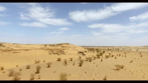 Arid Sandy Desert Landscape with Scattered Trees and Clouds Stock Footage 335719828