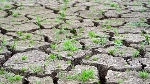 Arid soil Stock Footage 221976415