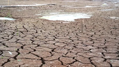Arid soil Stock Footage 221976423